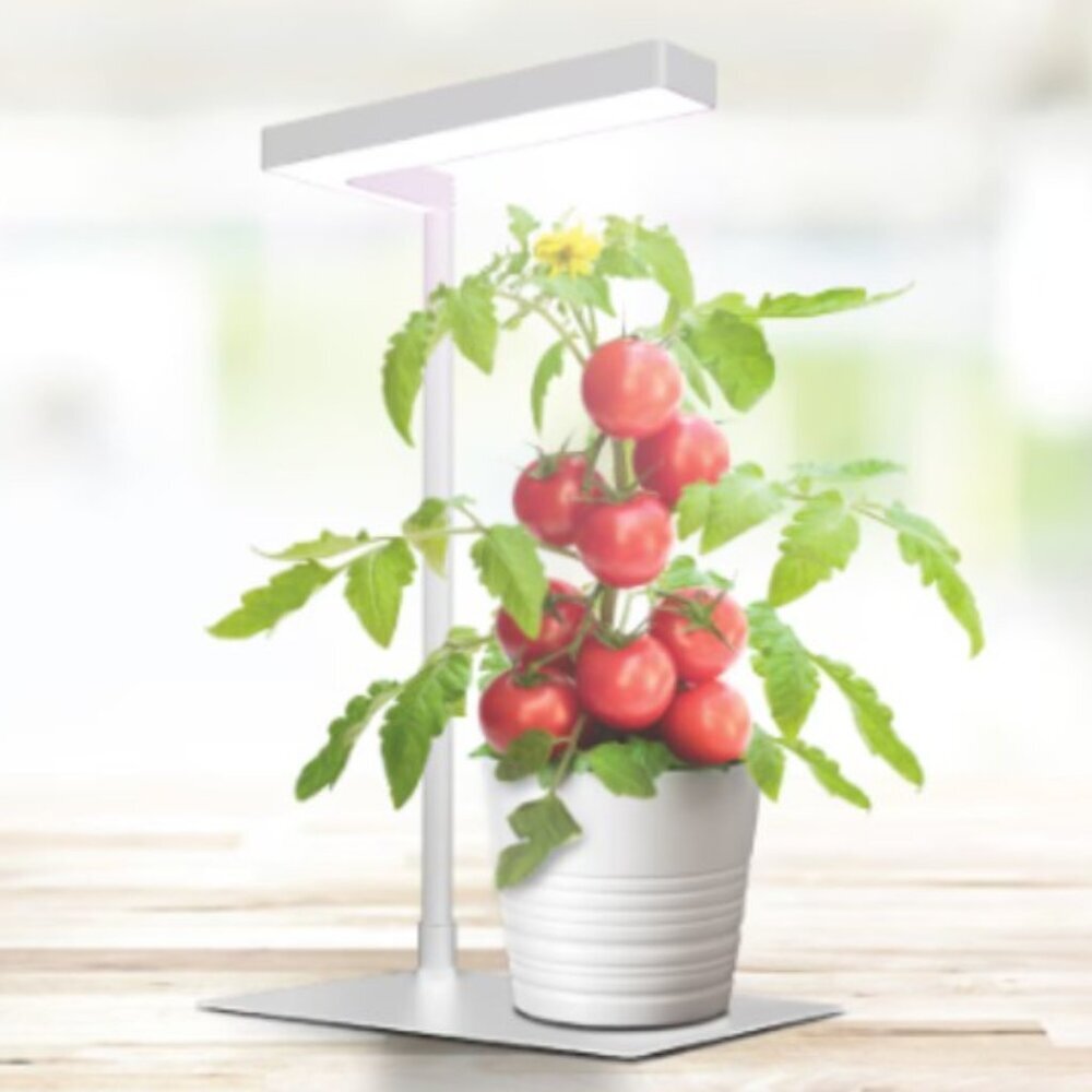 Feit Electric - LED Table Top Plant Grow Light